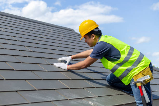Best Roof Maintenance Services  in Carnesville, GA