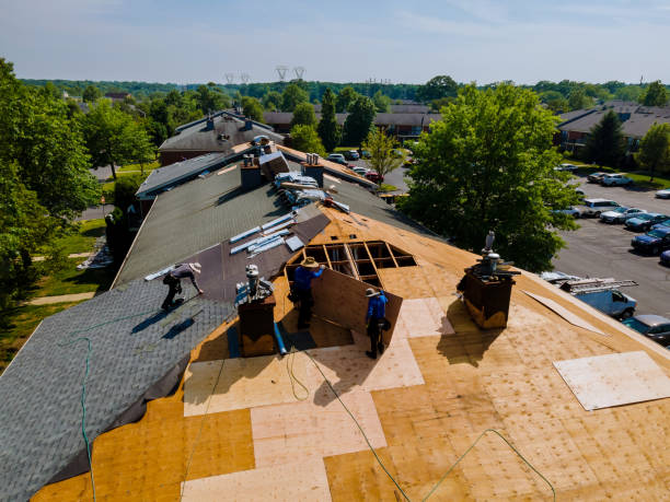 Best Flat Roof Repair Services  in Carnesville, GA