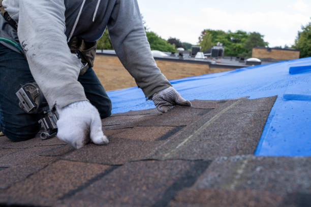 Best Gutter Installation and Roofing  in Carnesville, GA
