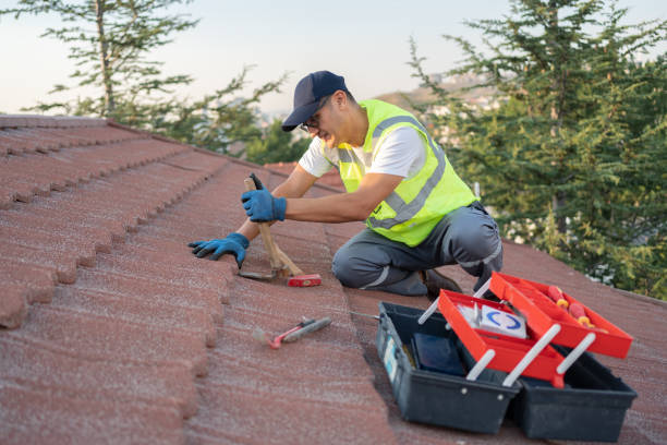 Best Best Roofing Contractors  in Carnesville, GA
