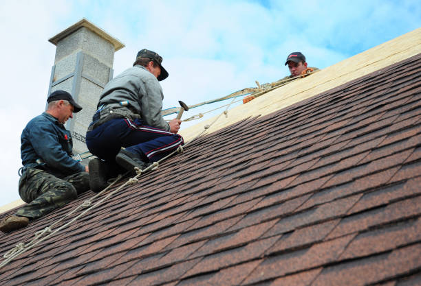 Best New Roof Installation  in Carnesville, GA