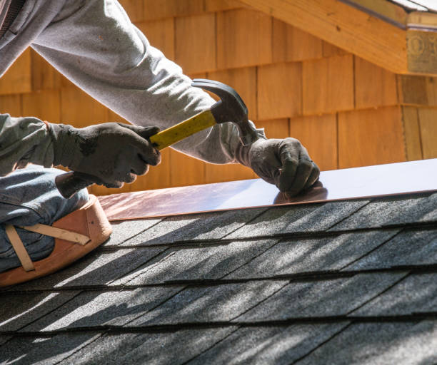 Best Roofing Contractor Near Me  in Carnesville, GA